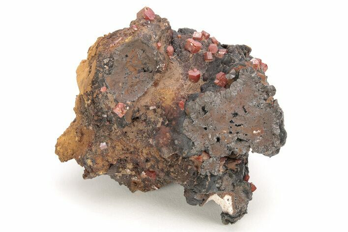 Small, Red Vanadinite Crystals on Manganese Oxide - Morocco #211993